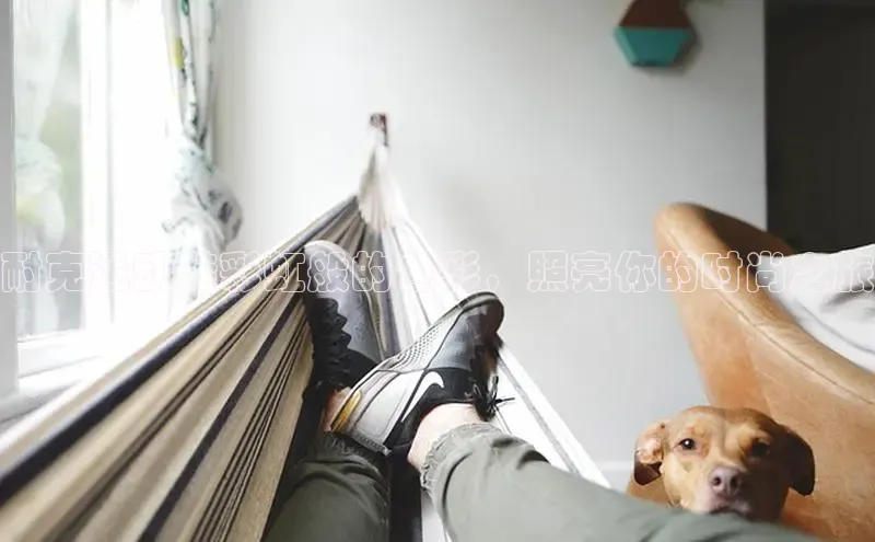 米兰官网首页登录入口哇咔哇咔文化耐克运动鞋彩虹般的色彩，照亮你的时尚之旅