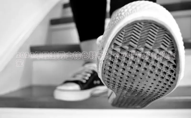 米兰全站登录入口汉得信息2024年最潮男士棕色鞋子：不可错过的时尚新
宠