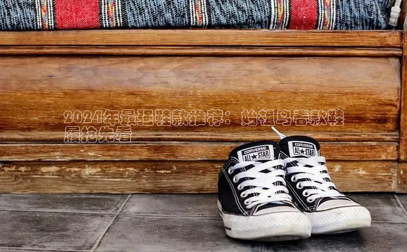 米兰官网首页登录入口哇咔哇咔文化2024年最强鞋款推荐：始祖鸟春款鞋
履抢先看