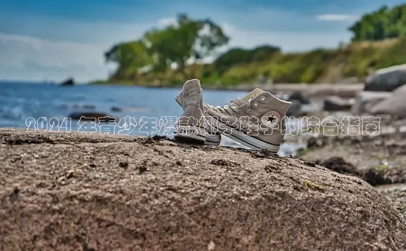 米兰全站登录入口颐驰 062024 年青少年爆款椰子鞋子的综合指南