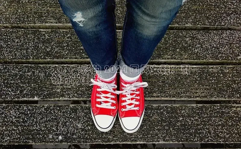 米兰官方网站直接进入路畅科技大放异彩的 2024 国风女鞋：引
领时尚潮流