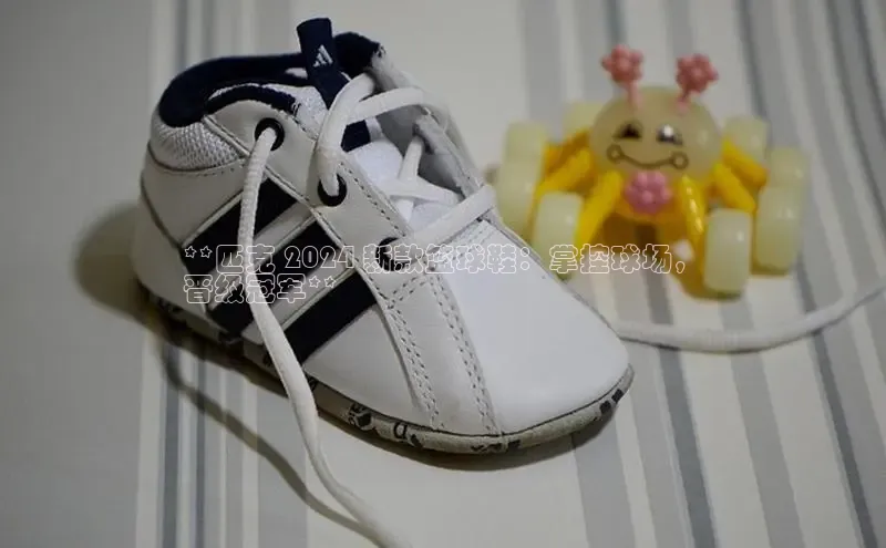 米兰体育百度百聘**匹克 2024 新款篮球鞋：掌控球场，
晋级冠军**