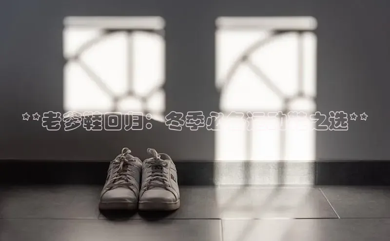 米兰app·体育登录入口百度技术学院**老爹鞋回归：冬季必备运动鞋之选**