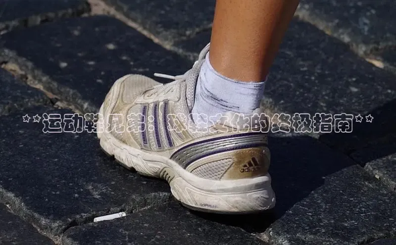 米兰网页版在线登录百度游戏开放平台**运动鞋兄弟：球鞋文化的终极指南**