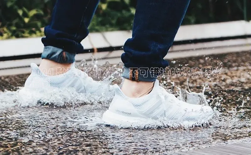米兰体育彩票是正规的吗视觉中国2024 秋季时尚必备：不可错过的爆款鞋子
指南