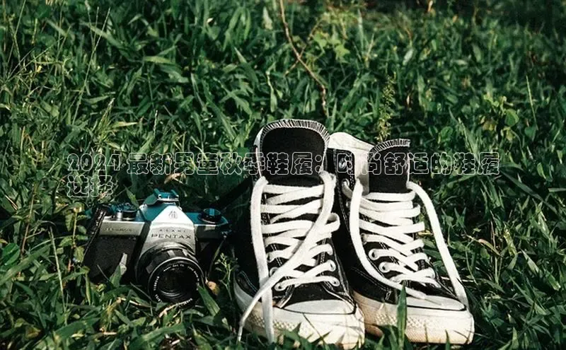 米兰app官网登录百度翻译App2024 最新男童秋季鞋履：时尚舒适的鞋履
选择