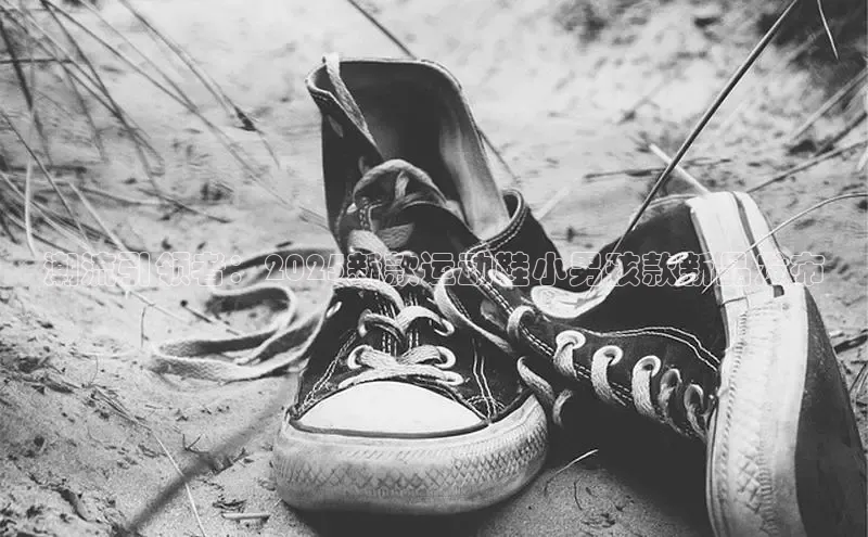 米兰app官网登录入口APP下载云创智行潮流引领者：2025新款运动鞋小男孩款新品发布