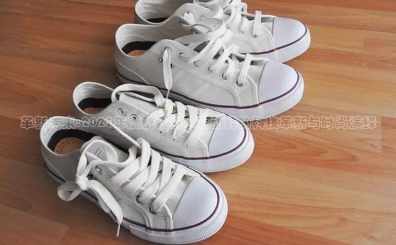 革新未来:2025年度新款防水运动鞋的科技革新与时尚演绎