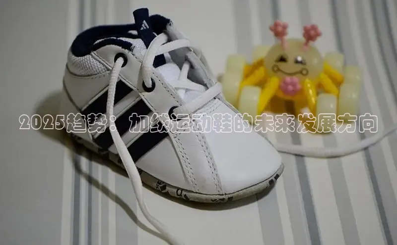 2025趋势：加绒运动鞋的未来发展方向