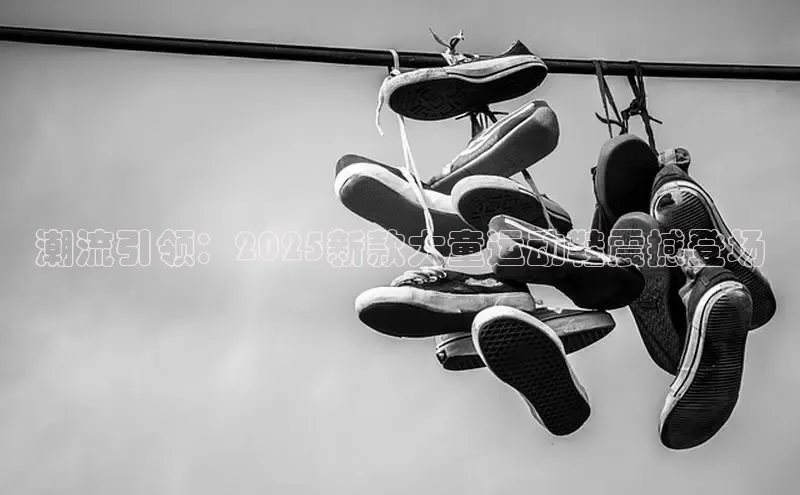 米兰体育全站app官网