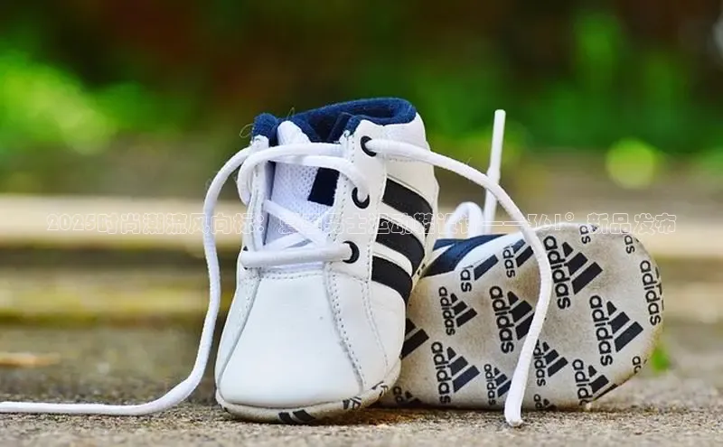 米兰在线网页版官方入口