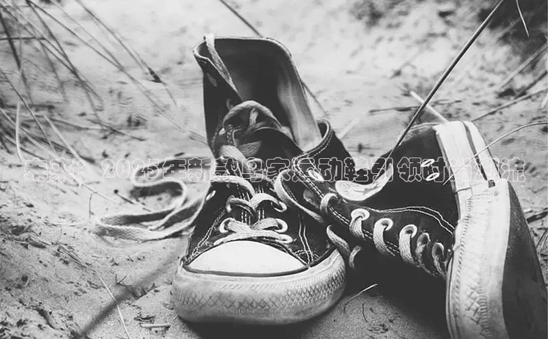 未来：2025年新款鸟家运动鞋引领时尚潮流